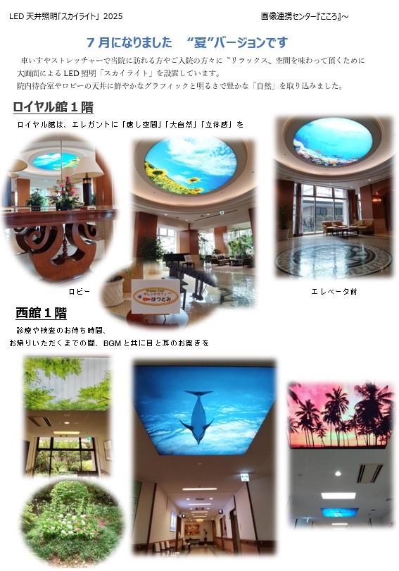 2025 夏ｽｶｲﾗｲﾄ.jpg