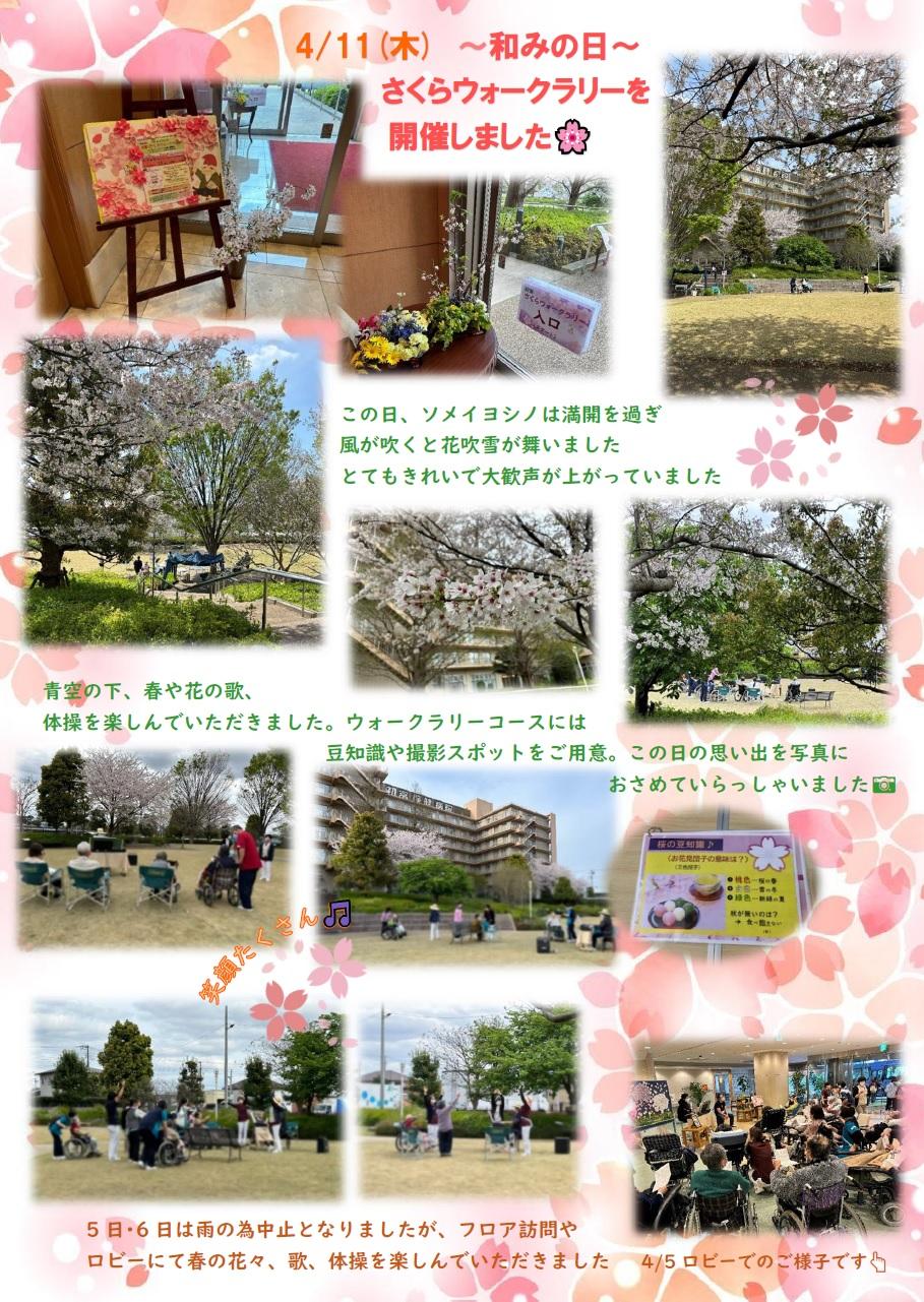 さくらウォークラリー.jpg